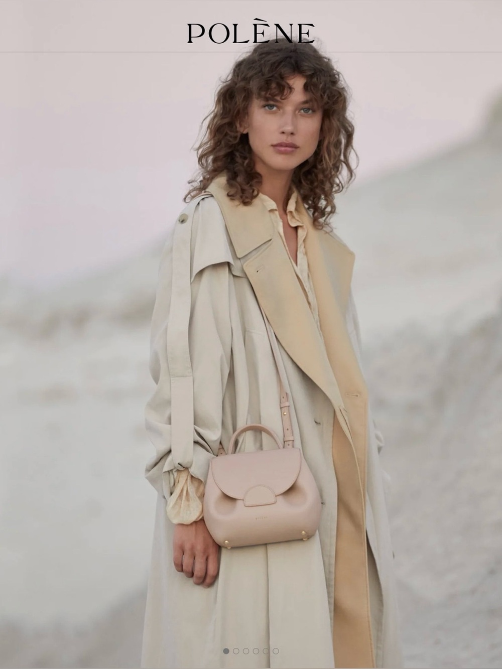 Polène Small Top-Handle Bag in Light Beige - Picture 3 of 14